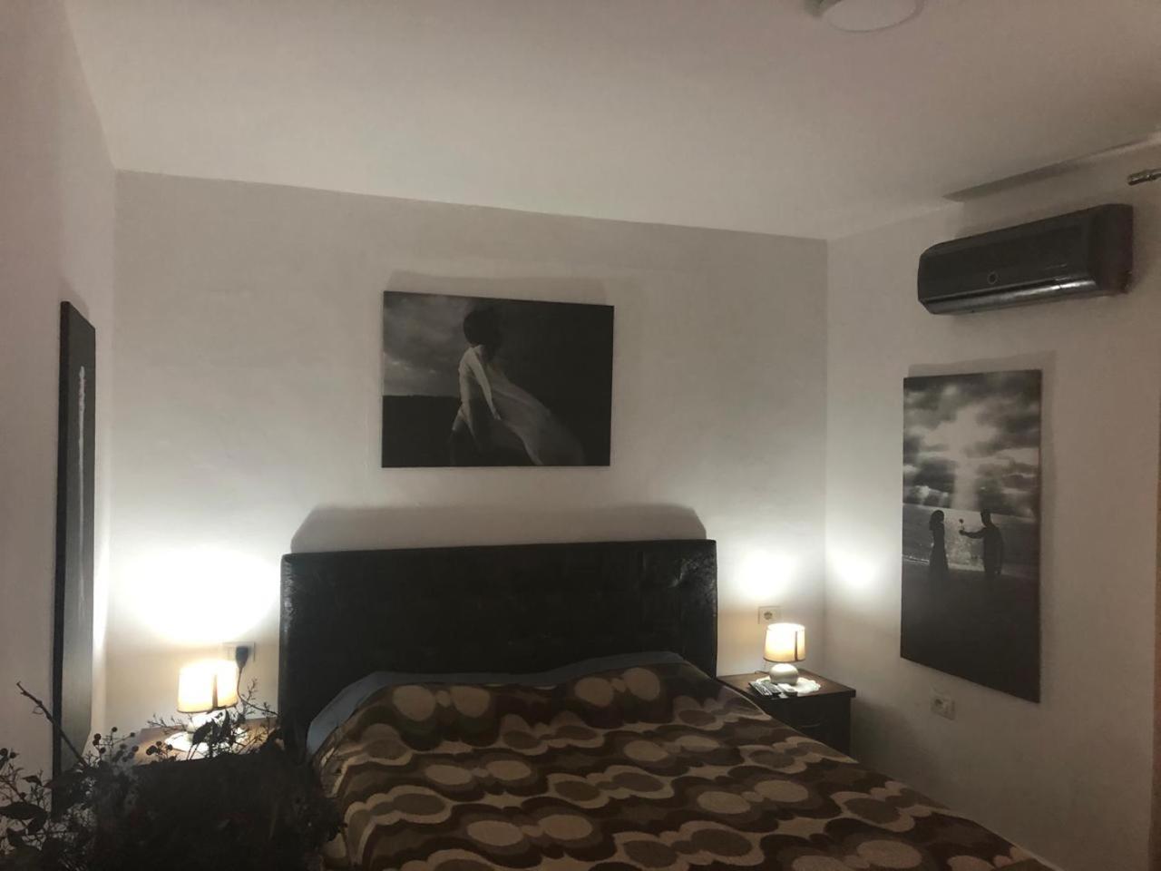 Cozzy Cottage, In Center Of Tirana ティラナ エクステリア 写真