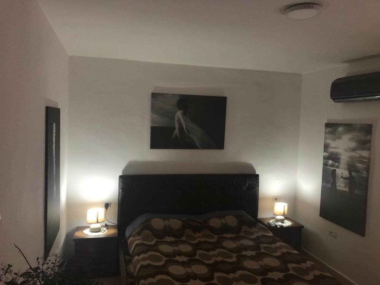 Cozzy Cottage, In Center Of Tirana ティラナ エクステリア 写真